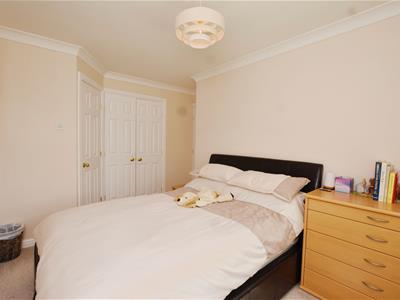 Picture 15